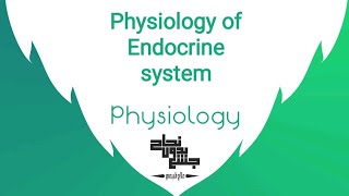 Physiology of endocrine system  Physiology 4 Lec 1 [upl. by Suu]