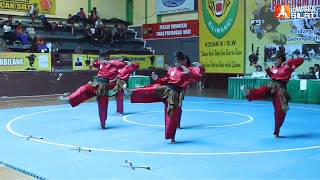 Rampak Pencak Silat PUTRA SILIWANGI  Garutan [upl. by Blankenship]