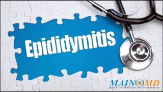 Epididymitis ¦ Treatment and Symptoms [upl. by Irme]