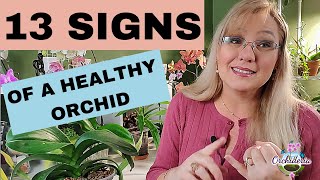 13 Signs of a Healthy Orchid Buying New Orchids or Evaluating Your Own Care [upl. by Neoma]