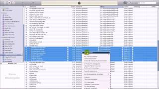 Hörbücher in iTunes kennzeichnen Tutorial [upl. by Idette]