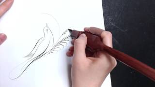 Offhand Bird Flourishing  Connie Chen Calligraphy [upl. by Annahsat]