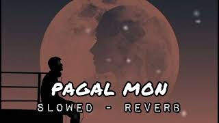 PAGAL MON slowed  reverb lofi remix song 😌 [upl. by Staal699]