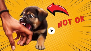 How to Train Your Puppy to Stop Biting [upl. by Alyl359]