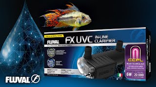 Fluval FX UVC InLine Clarifier  See Your Aquarium In High Definition [upl. by Dorca]