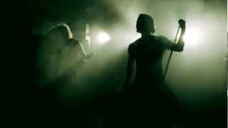 DIVIDED MULTITUDE  SCARS OFFICIAL VIDEO [upl. by Lienhard611]