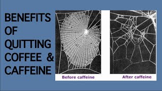 6 Benefits Of Quitting Coffee amp Caffeine [upl. by Alesiram]