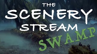 The Scenery Stream  Dagobah Swamp Diorama  Final Scenery [upl. by Levison]