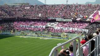 Formazioni Palermo 11 Sampdoria più coreografia [upl. by Leuqim]