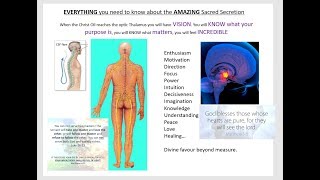 Sacred Secretion  Christ Oil  True Anointing  HEAVEN ON EARTH [upl. by Ambur240]