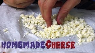 Worlds EASIEST Homemade CHEESE recipe 3 Ingredients [upl. by Lefkowitz61]