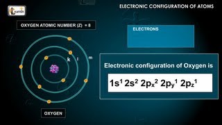 Electronic configuration of atoms using Aufbau Paulis principle and Hunds rule  Chemistry [upl. by Lleynod859]