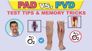 PAD vs PVI cartoon animation amp memory tricks peripheral arterial disease pathophysiology signs [upl. by Flossie]