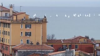 Le Vieux Nice vous ouvre ses portes [upl. by Enimsay]