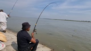 নগরবাড়ি যমুনা নদীতে রেকর্ড বাউশ মাছ ধরা FishingBDfastTv fishing hookfishing মাছধরা [upl. by Tertius]