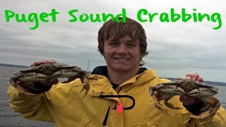 How To Crab in Washingtons Puget Sound [upl. by Ellerol]