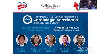 1° Simposio Latinoamericano virtual de Cardiología Veterinaria Holliday [upl. by Wyly718]