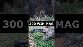 300 Win Mag DROPS Deer shorts [upl. by Norihs395]