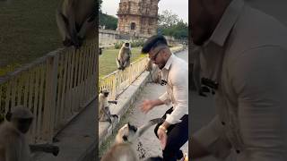 🐒🐒🐒 😂 isne to dara hi diya 😂pawansahu fitnessmotivation motivation funny [upl. by Raama]