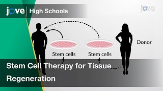 Stem Cell Therapy for Tissue Regeneration  Cell Bio  Video Textbooks  Preview [upl. by Snevets615]