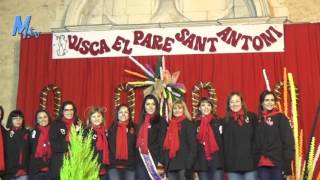 maestrattv  Benicarló  Festa de Sant Antoni 2016 Cavalcada [upl. by Nyliac986]