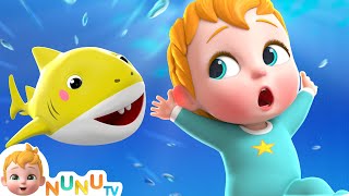 Baby Shark Song  Nursery Rhymes amp Kids Songs  NuNu Tv Baby Songs [upl. by Eelatan]