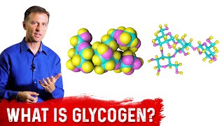 What is Glycogen – Dr Berg [upl. by Coridon]