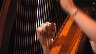 Celtic Harp at Lorient 2008 2 [upl. by Nreval]