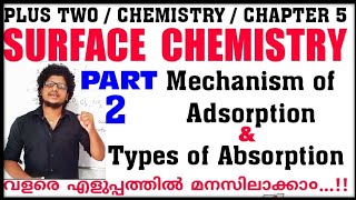 Mechanism Of Adsorption  Types Of Adsorption 2 Chemistry Chapter 5 Surface Chemistry in malayalam [upl. by Assirrac891]