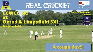 CCWCC vs Oxted amp Limpsfield CC 3XI Surrey Championship Division 3 East [upl. by Yartnod]