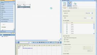 Consuming XML Data in Xcelsius using Excel XML Map [upl. by Lissak]