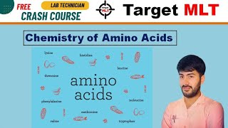 8 Amino Acids biochemistry by Sachin Punia  DSSSB  RRB  PGIMER  Aiims JSSC Osssc 2024 mlt [upl. by Cooley]