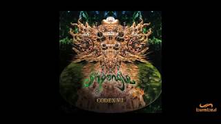 Shpongle  Celestial Intoxication [upl. by Wesley200]