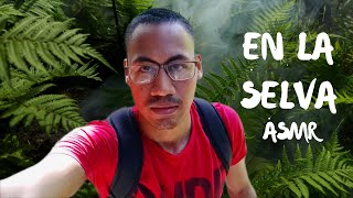 ASMR  CAMINANDO POR LA SELVA  PARQUE METROPOLITANO DE PANAMA  WALKING IN THE PANAMA JUNGLE 🌱 [upl. by Maude]