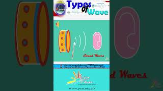 Types Of Wave I Simple Harmonic Motion and Waves Iphysics  Penacademy Typesofwave [upl. by Nolham627]