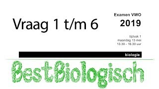 biologie examen VWO 2019 eerste tijdvak vraag 1 tm 6 [upl. by Aros]