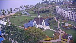 Live streaming video from the Maui Grand Wailea Resort in Maui [upl. by Laen]