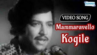 Mammaravello Kogile  Devara Gudi  Vishnuvardhan  Bharathi  Kannada Hit Song [upl. by Ajnat500]