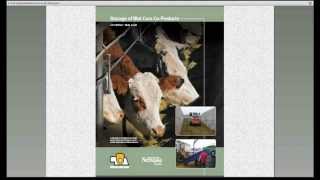 Feeding Distiller Grains on the Ground to Cows and Calves [upl. by Stultz]