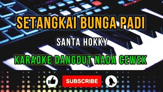 SETANGKAI BUNGA PADI Santa Hokky KARAOKE NADA CEWEK [upl. by Jefferey]