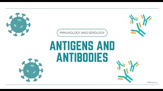 Antigens and Antibodies  Overview [upl. by Nilyad991]