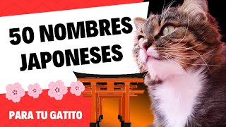 50 NOMBRES JAPONESES para GATOS [upl. by Mischa407]