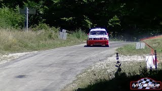 BMW M3 CAZAUX Serge  SIMSIC David Rallye de la Drôme 2017 [upl. by Hiltan]