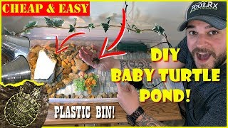 DIY TURTLE TANK BABY TURTLES PLASTIC BIN TURTLE POND [upl. by Lalad]