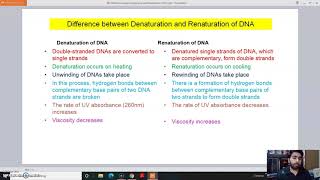 Denaturation vs Renaturation [upl. by Kain]