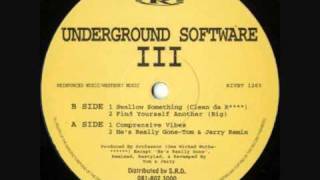 Underground Software  Swallow Something Clean Da R [upl. by Meraree]