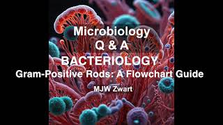 Microbiology QampA Bacteriology  Gram Positive Rods A Flowchart Guide [upl. by Bat]