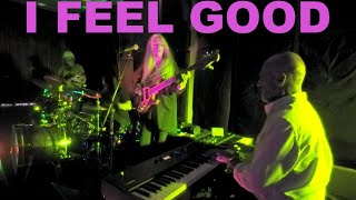 🍄🌿🍄 I  F E E L  G O O D 🍄🌿🍄 Rebecca Johnson Band [upl. by Beckerman]