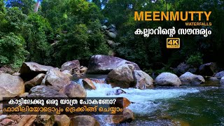 ഫാമിലി ആയി കാട്ടിലേക്കു പോകണോ അരുവിയിൽ കുളിക്കണോ Kallar Meenmutty Waterfalls Trivandrum 4K [upl. by Sardella812]