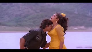 Chinna Chinna Sethi Soli tamil song  Vijay  Yuvarani  Sendura Pandi Tamil Movie song [upl. by Graniah]